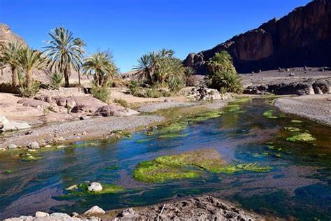 Excursion en calèche et visite de la Vallée De Dades et Oasis de Fint Ouarzazate